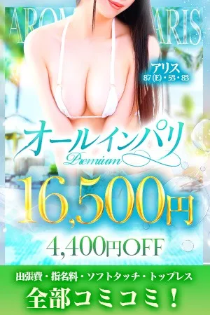 【4400円OFF】オールインパリ!!表記以上の料金はかかりません♪イメージ写真