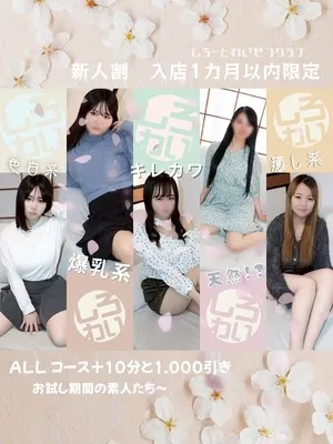 ☆しろわい新人割☆イメージ写真