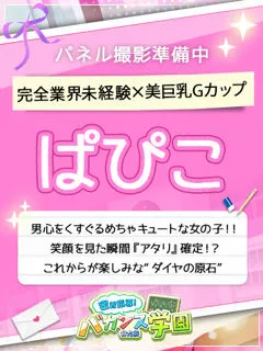 ぱぴこ/18歳 - (バカンス学園)