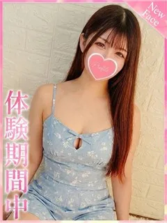 シュナの紹介写真