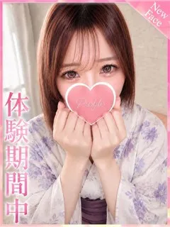 あやめの紹介写真