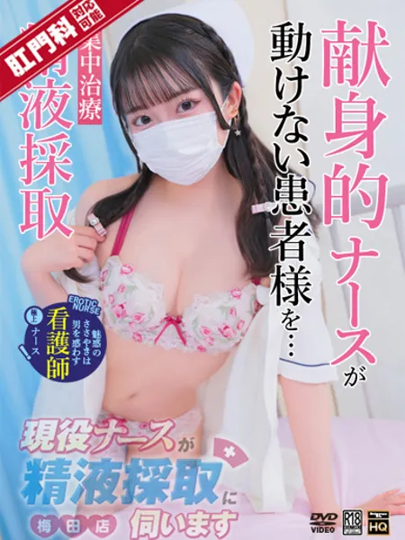 南ひな
