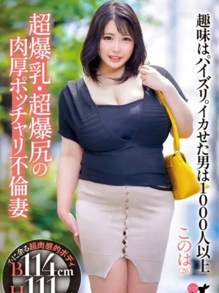 2枚目の写真