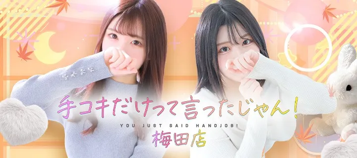 手コキだけって言ったじゃん! - イメージ