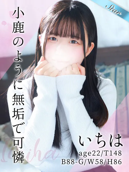 1枚目の写真