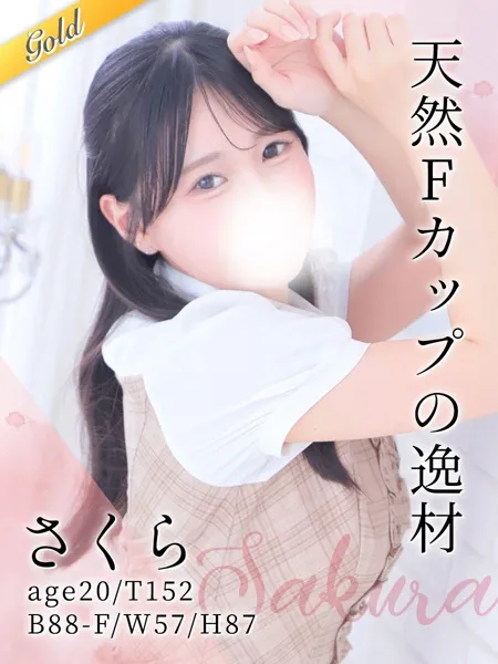 1枚目の写真