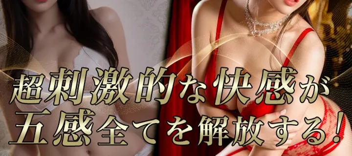 Salon du M-えっちなお姉さんのM性感デリバリー - イメージ